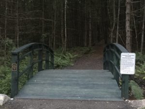 Bridge build town of Chelmsford